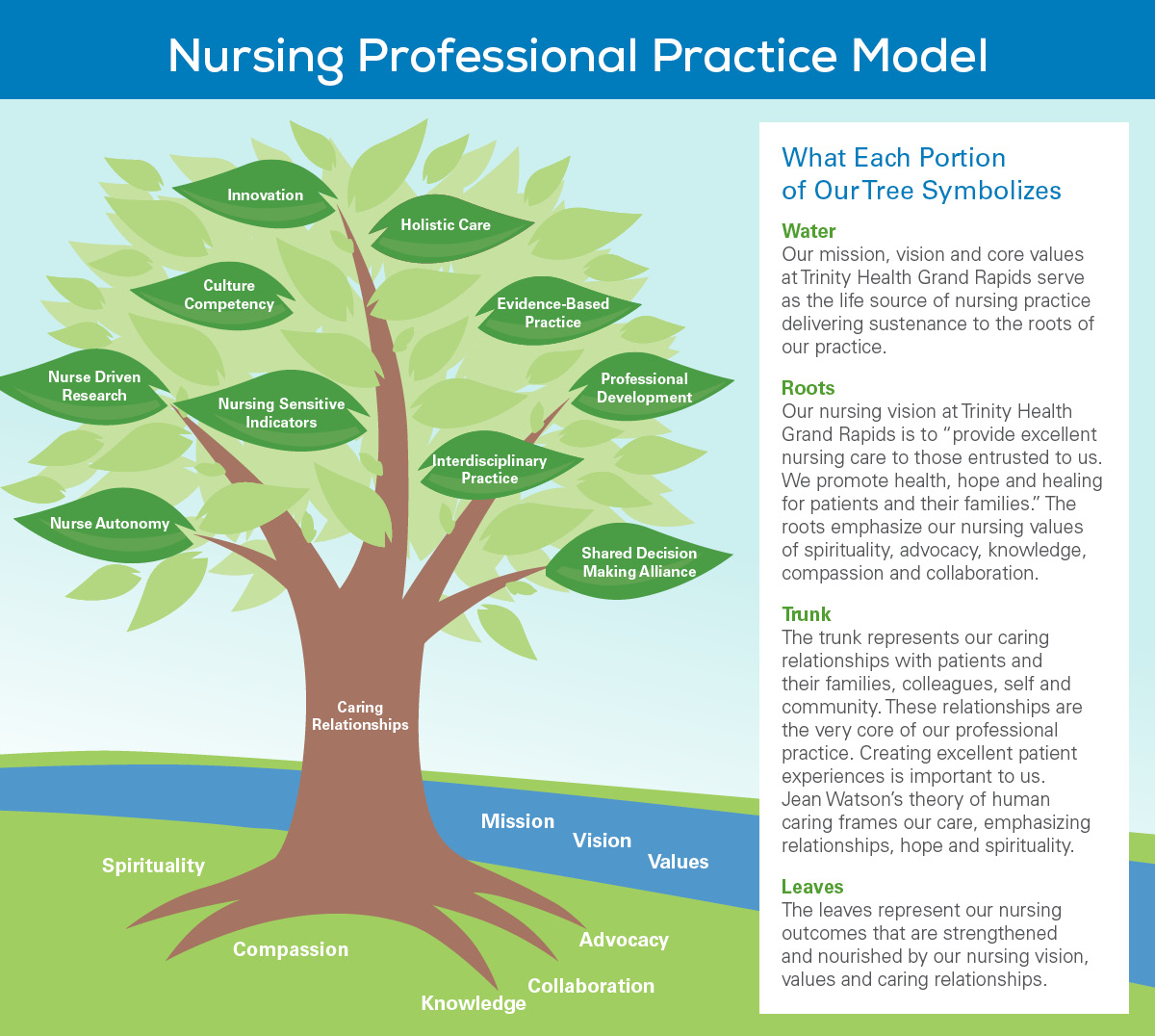 Nursing Professional Practice Model