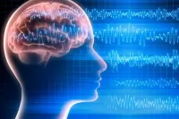 A graphic designed to show human brain waves